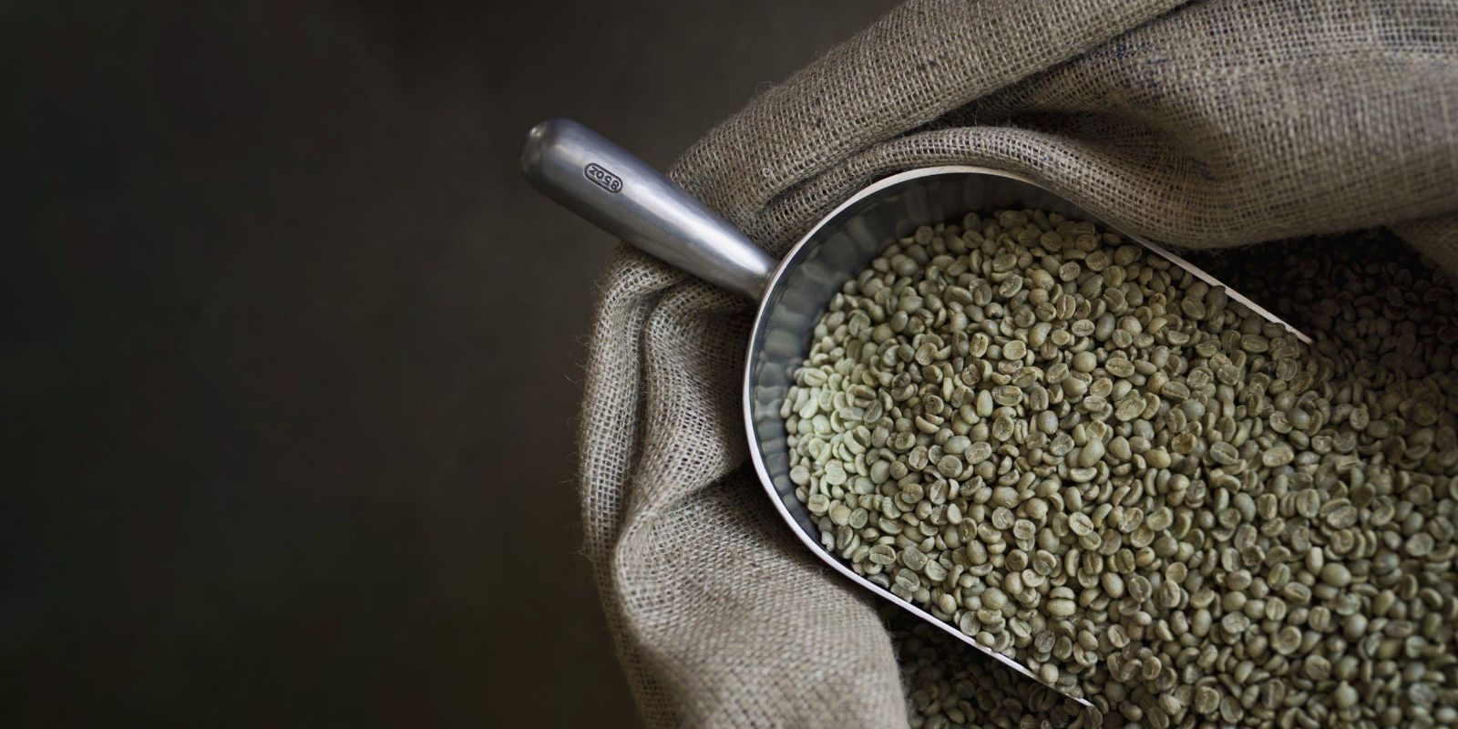 Unleash<br>the<br>Aroma