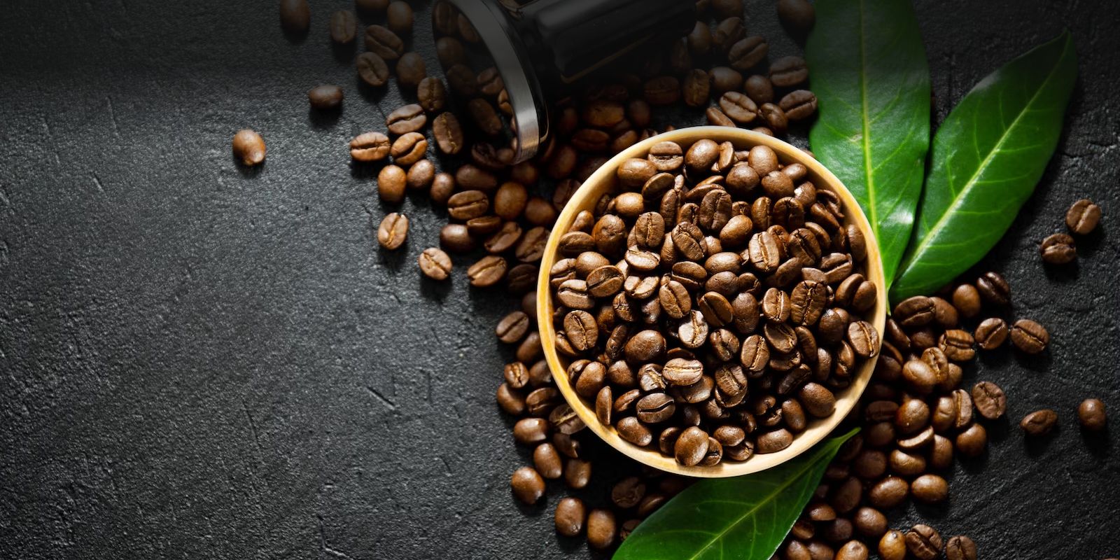 Fresh<br>Premium<br>Quality