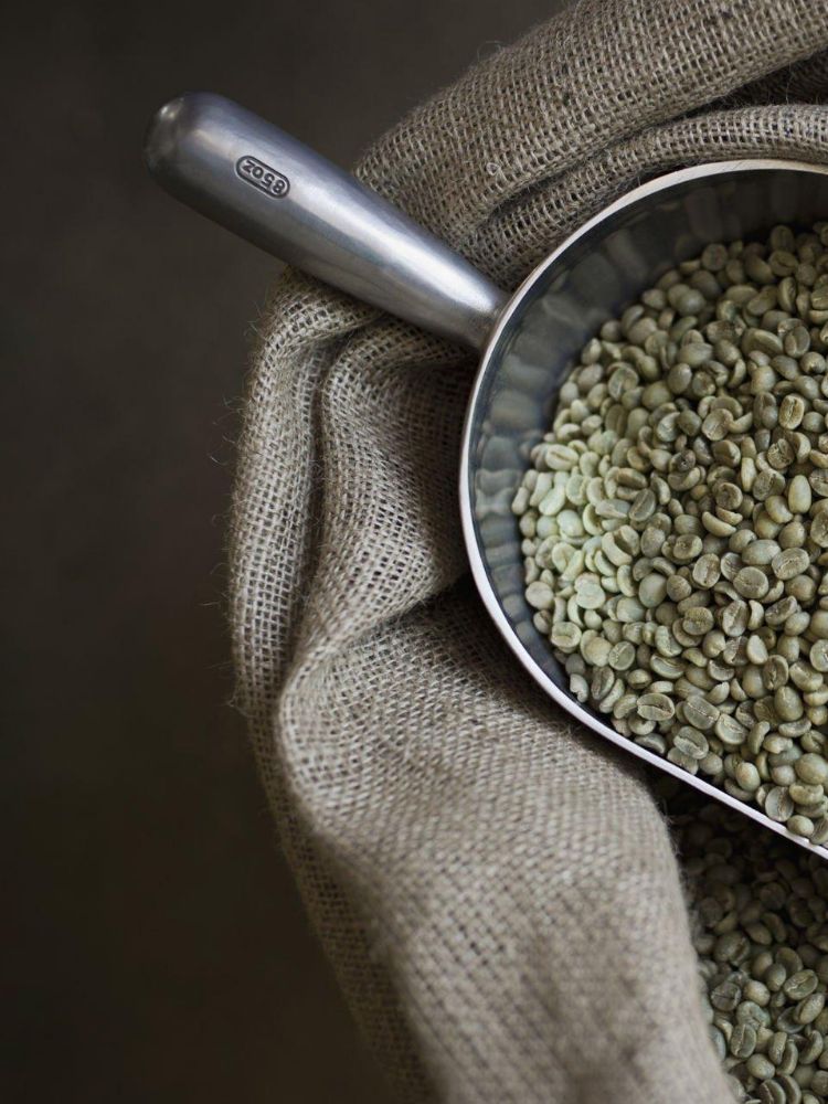 Unleash<br>the<br>Aroma