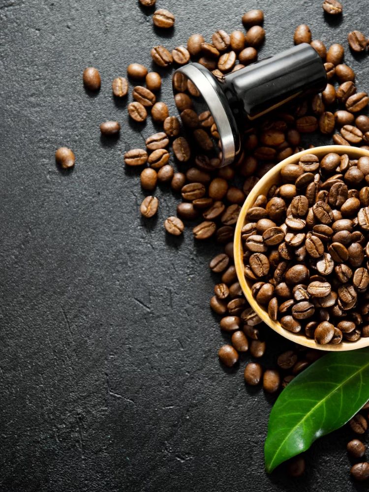 Fresh<br>Premium<br>Quality